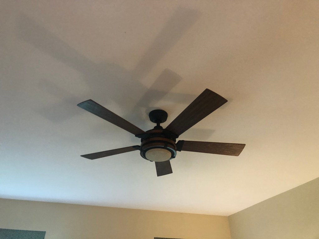 Ceiling fan